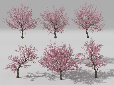 Six Trees With Pink Blossoms In Various Shapes On Gray Background 3d model