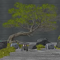 Japanese Zen Garden with Rockery Stones Green Pine Tree Stone Lantern Moss and Dark Wall