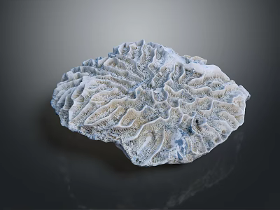 Coral Marine Animal With Intricate Branching Structure In Ocean Habitat 3d model