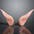Detailed Realistic Pink Ear Models Symmetrically Placed On Smooth Reflective Surface 3d model
