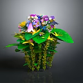 Colorful Plant Bouquet With Purple Pink Yellow Flowers And Green Leaves