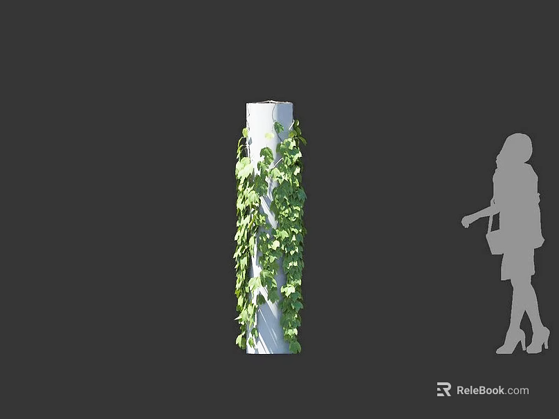 Climbing Green Vines On White Pillar With Lush Leaves And Woman Silhouette 3d model 