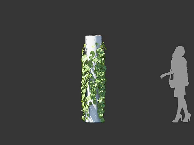 Climbing Green Vines On White Pillar With Lush Leaves And Woman Silhouette 3d model
