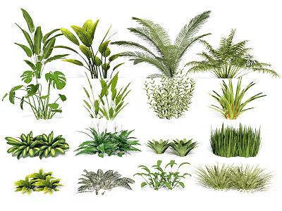 Assorted Green Plants Collection Featuring Different Leafy Species And Foliage Varieties 3d model