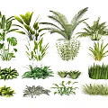 Assorted Green Plants Collection Featuring Different Leafy Species And Foliage Varieties