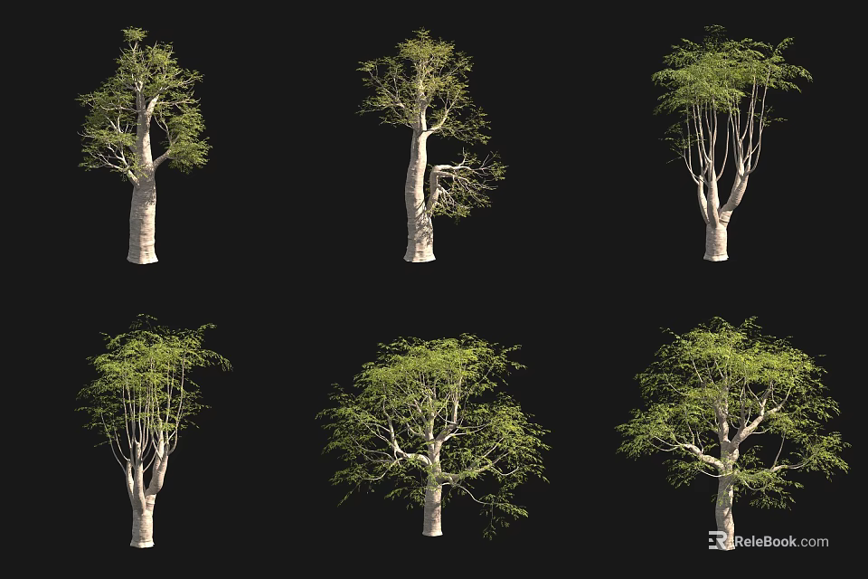 Various Arbor Trees With Different Growth Forms Isolated On Black Background 3d model