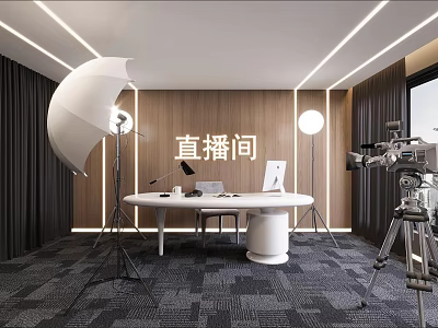 Modern E Commerce Live Streaming Studio Setup With Softbox Ring Light Camera And Table 3d model