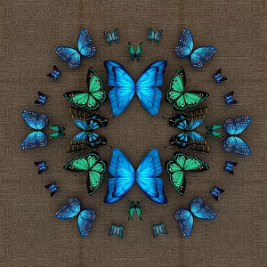 Modern Butterfly Craft 3d model