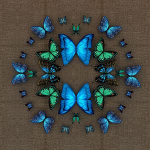 Modern Butterfly Craft 3d model