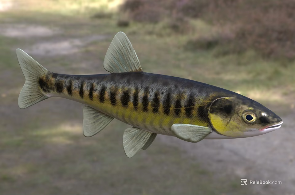 Vibrant Black And Yellow Striped Aquatic Fish With Sleek Body In Natural Habitat 3d model 
