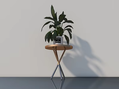 Modern Side Table With Round Wooden Top And X Shaped Metal Legs Holding Green Potted Plant In Minimalist Room 3d model