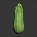 Fresh Green Striped Zucchini Vegetable On Dark Background With Smooth Skin