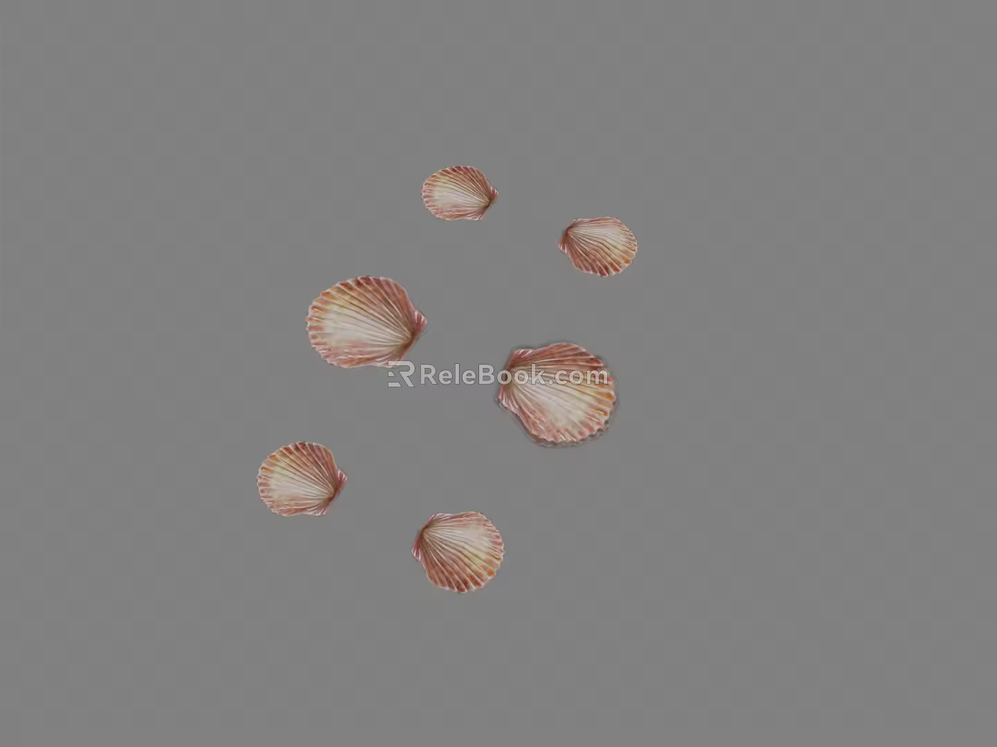 Modern Shell 3d model