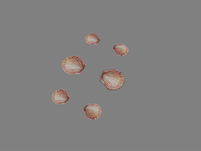 Six Pink And White Scallop Shells From Aquatic Animal Scallops Arranged On Gray Background 3d model