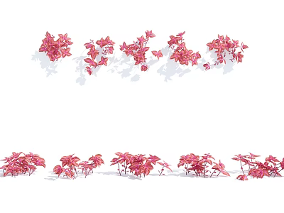 Pink Small Flower Clusters Arranged in Two Rows with Shadows on White Background 3d model