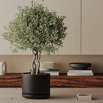 Modern Potted Plant 3d model