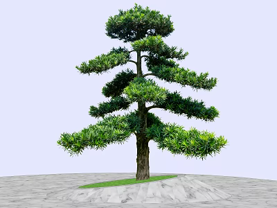 Arbor With Lush Green Foliage And Unique Branch Structure On Stone Pavement And Grass 3d model