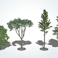 modern tree landscape tree arbor 3d model