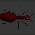 3D Rendered Detailed Red Ant With Golden Eyes On Gray Background