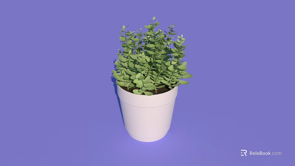 Bonsai Potted Plant in White Pot with Green Lush Foliage on Purple Background 3d model 