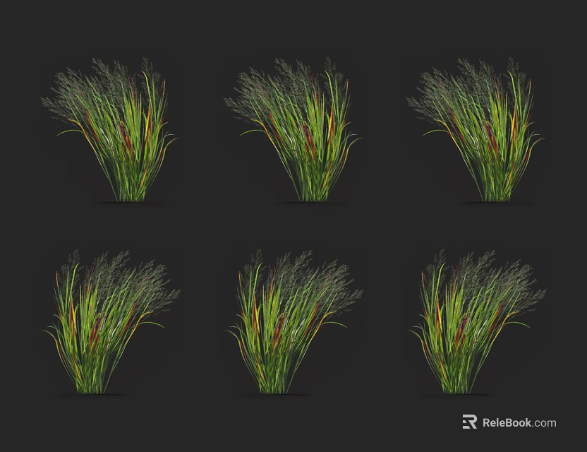 Six Green and Red Leaf Grass Plants Arranged in Two Rows Three Columns Black Background 3d model 