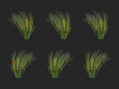 Six Green and Red Leaf Grass Plants Arranged in Two Rows Three Columns Black Background 3d model