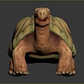 Turtle Cartoon Turtle Snapping Turtle Chickbill Turtle Reptile Cold Blooded Animal Reptile Class 3d model
