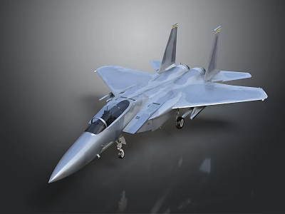 Silver Fighter Jet Model With Twin Tails Cockpit And Landing Gear Design 3d model