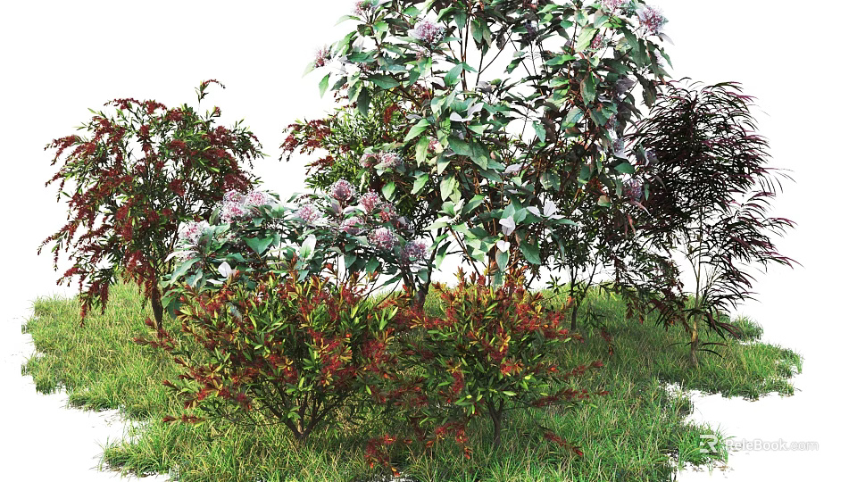 Various Garden Shrubs With Purple Flowers And Red Green Leaves On Grass 3d model 