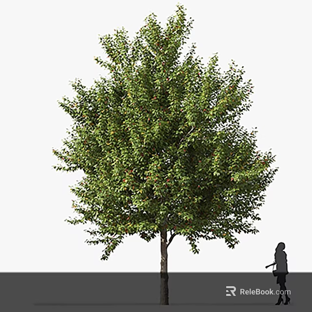 Tall Green Arbor With Lush Foliage And Human Figure In Outdoor Landscape 3d model 