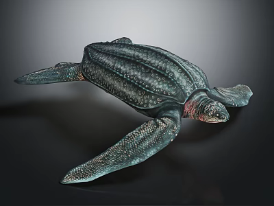 Realistic Leatherback Sea Turtle Sculpture With Textured Shell And Lifelike Features 3d model