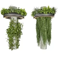 Lush Hanging Basket Plants With Trailing Greenery On Decorative Pillars