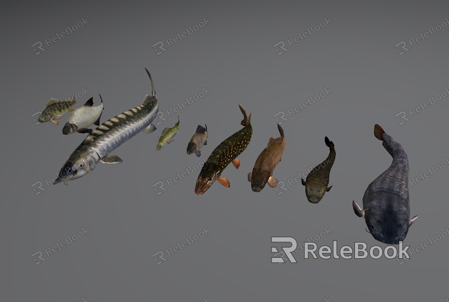 Aquatic animals Fish model