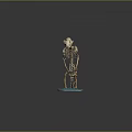Animal Skeleton Organ Model With Hair Sample Display On Blue Base For Study