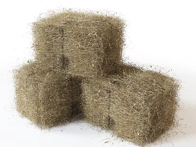 Beautiful Flowers And Plants Arrangement With Stacked Hay Bales For Garden Decor 3d model