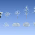 Diverse Winter Plants White Silhouette Collection With Trees Shrubs And Pine On Black Background