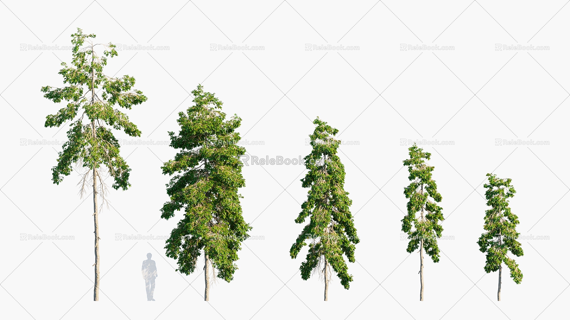 Plants Trees Arbor 3d model