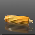 Fresh Ripe Yellow Corn with Silk on Black Background with Reflection