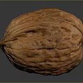 Fresh Walnut with Brown Shell and Natural Surface Texture on Dark Background