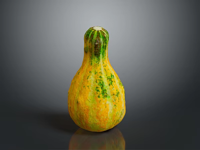 Ripe Fresh Organic Yellow Green Speckled Pumpkin With Unique Curved Shape 3d model