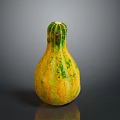 Ripe Fresh Organic Yellow Green Speckled Pumpkin With Unique Curved Shape