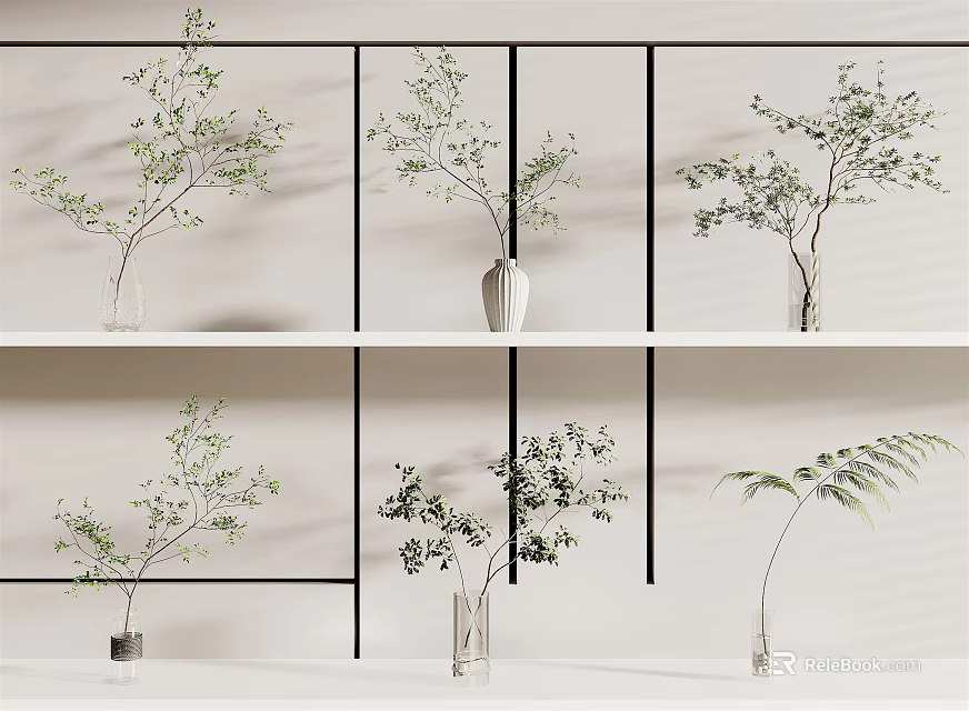 Different Shapes Vases with Green Foliage on White Shelf Light Wall Black Line Decor 3d model 