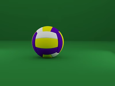 Colorful Volleyball Sports Equipment With Purple Yellow And White Panels On Green Surface 3d model