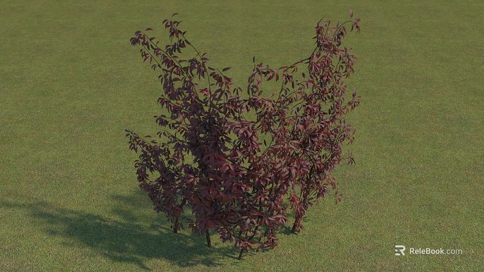Deep Red Vine Plant With Lush Leaves Growing On Green Grass 3d model 