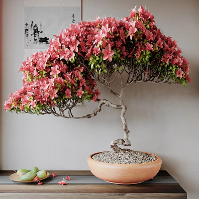 Pink Flowering Bonsai Plant Featuring Curved Trunk Lush Foliage Light Colored Pot And Pebbles 3d model