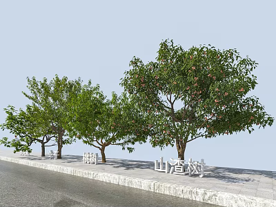 Decorative Hawthorn Trees With Lush Green Foliage And Red Fruits Along Roadside 3d model
