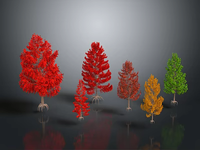 Colorful Trees With Red Orange Green Foliage Arranged On Grey Background With Reflections 3d model