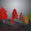 Colorful Trees With Red Orange Green Foliage Arranged On Grey Background With Reflections