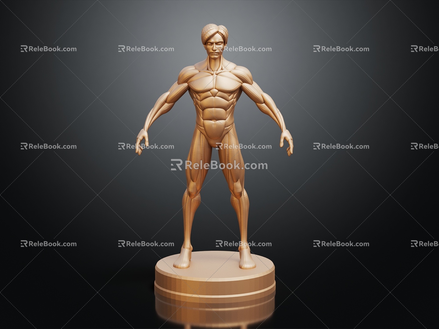 Modern Human Muscle Mannequin Muscle 3d model