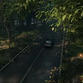 Scenic Road Infrastructure With Lush Trees Fallen Leaves And Asphalt Pavement